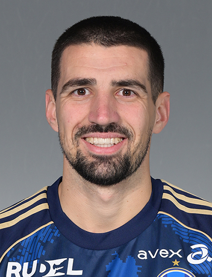 ドレシェヴィッチ